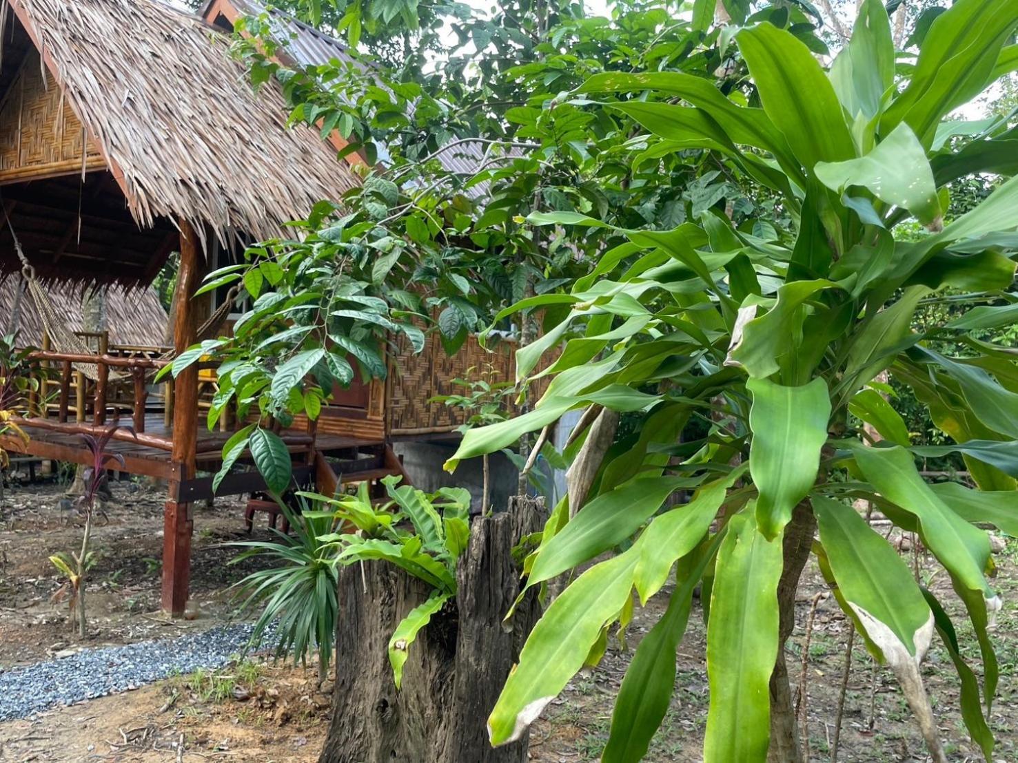 Апартаменты Dahla Lanta Hut Ко-Ланта Экстерьер фото